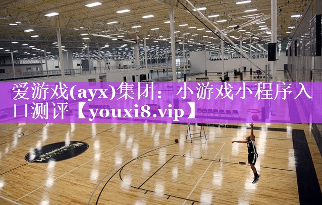 爱游戏(ayx)集团：小游戏小程序入口测评