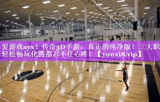 爱游戏ayx！传奇3D手游：真正的纯净版！三大职业轻松畅玩化腾都忍不住心疼！